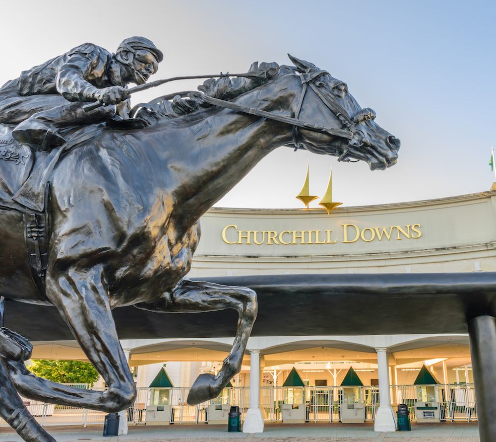 Fractional Ownership of Top Dogs